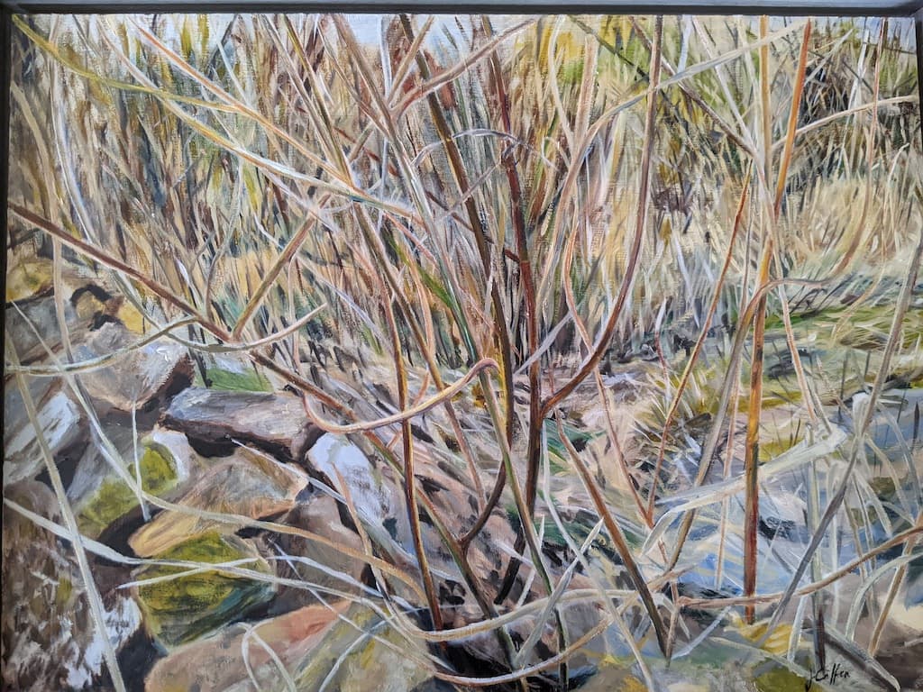Canal Edgeland